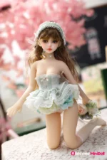50cm 1ft7 American Tiny Sex Doll with PVC Head – Hien