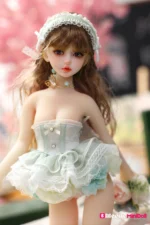 50cm 1ft7 American Tiny Sex Doll with PVC Head – Hien